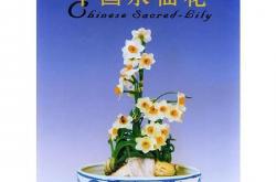 开云官网-精湛技艺雄霸赛场，独领风骚的简单介绍