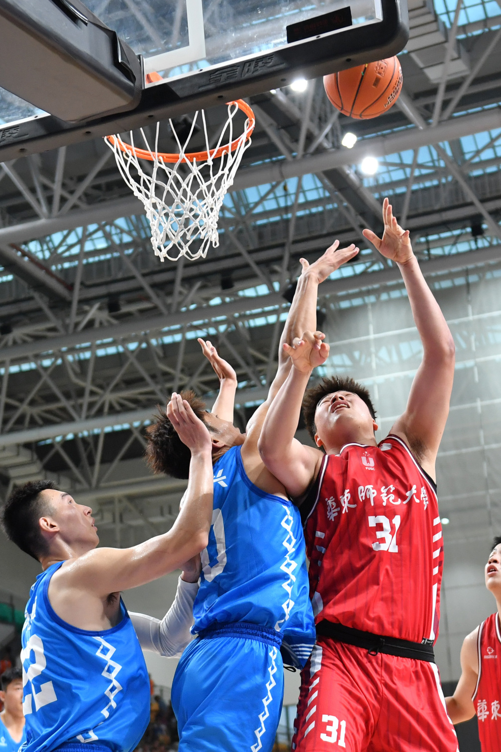 拉丁美洲篮球联赛揭幕，各队纷纷争先的简单介绍