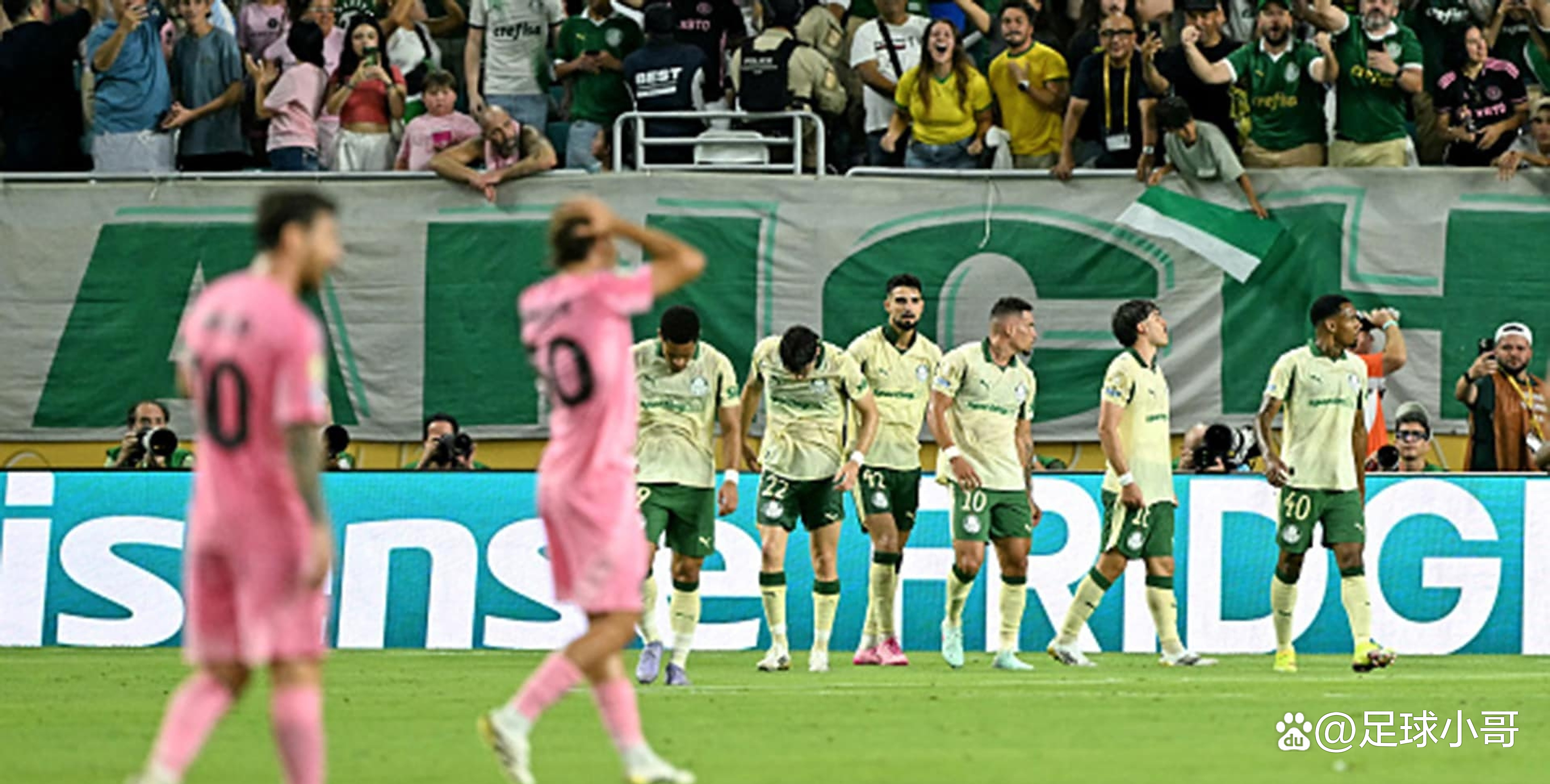 巴西排球队夺冠,队员欢呼雀跃 巴西排球队夺冠,队员欢呼雀跃