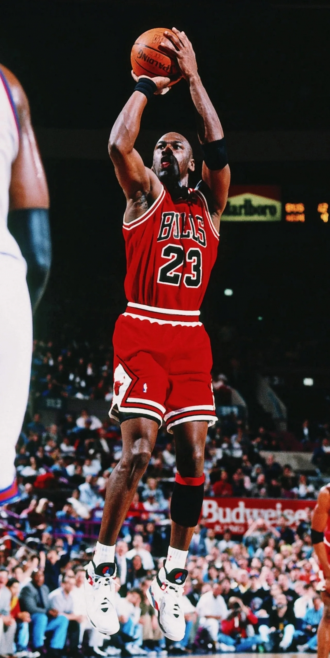 包含奇才横扫篮网B队，詹姆斯爆发神勇的词条