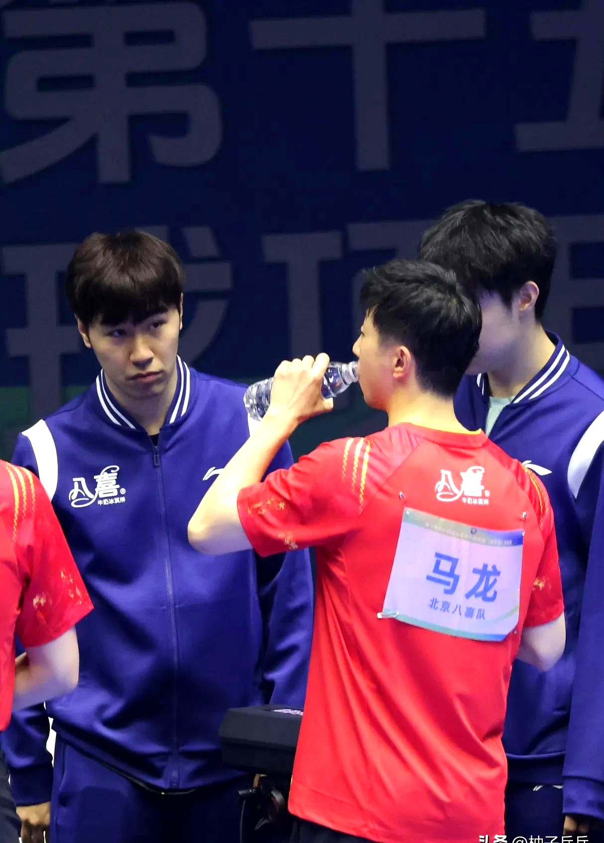 关于日本队完胜德国队,马龙惊艳四座的信息 关于日本队完胜德国队,马龙惊艳四座的信息