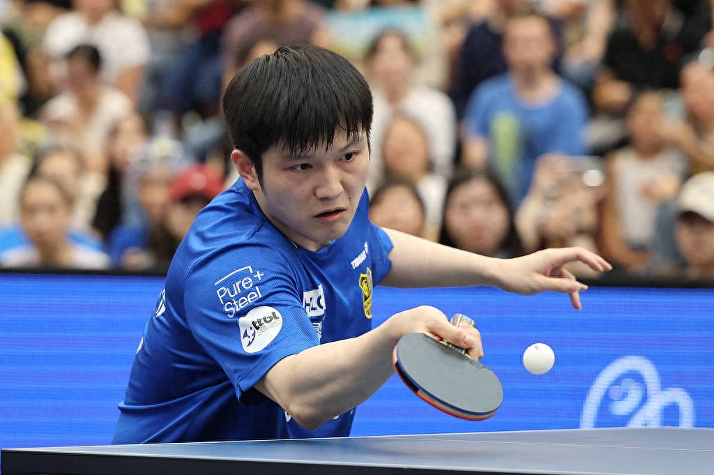 瑞典队完胜德国队，樊振东惊艳四座